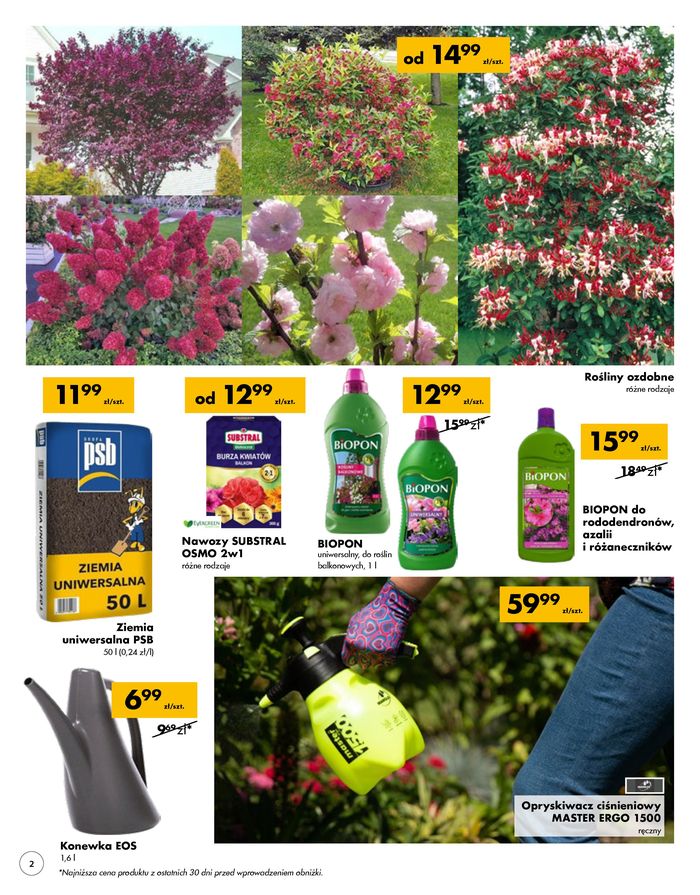 Katalog Mrówka w: Rypin | Wiosenny relaks w ogrodzie | 25.04.2024 - 4.05.2024