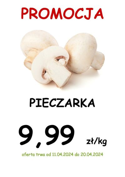 Promocje Supermarkety w Żołynia | Delikatesy Sezam gazetka de Delikatesy Sezam | 27.04.2024 - 11.05.2024