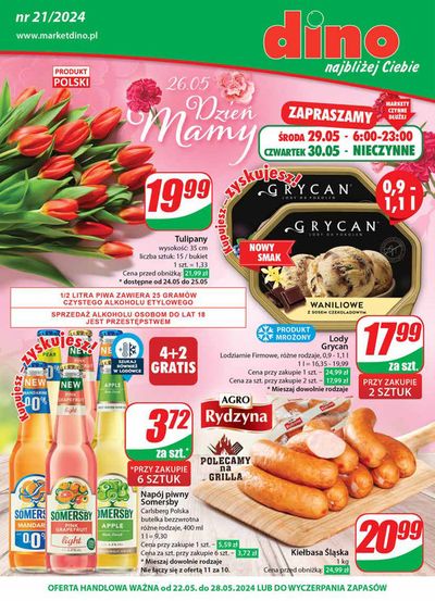 Promocje Supermarkety w Osieczna | Dino Gazetka 21 / 2024 de Dino | 22.05.2024 - 28.05.2024