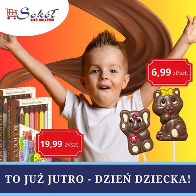 Katalog Sokół w: Elbląg | sokol gazetka | 2.06.2024 - 16.06.2024