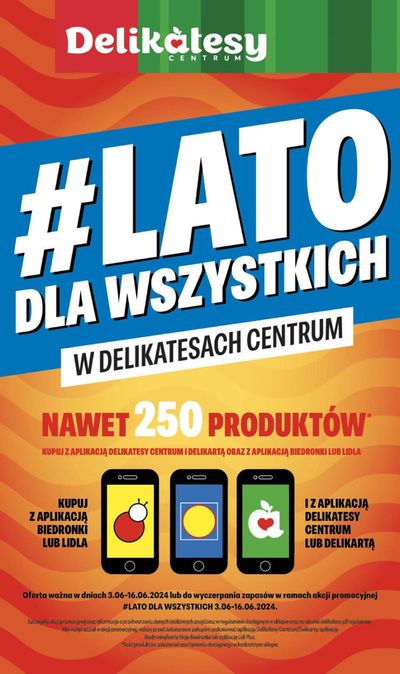 Katalog Delikatesy Centrum w: Wola Zarczycka | Lato dla wszystkich w delikatesach centrum | 3.06.2024 - 16.06.2024