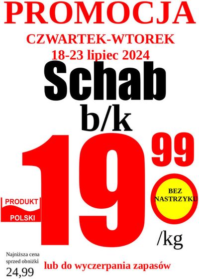 Katalog Wizan w: Kraków | Promocja do 28.07  | 19.07.2024 - 2.08.2024