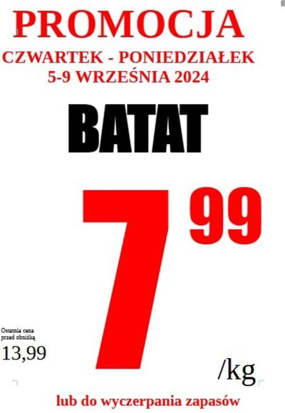 Katalog Wizan w: Zator | Aktualne promocje specjalne | 12.09.2024 - 26.09.2024