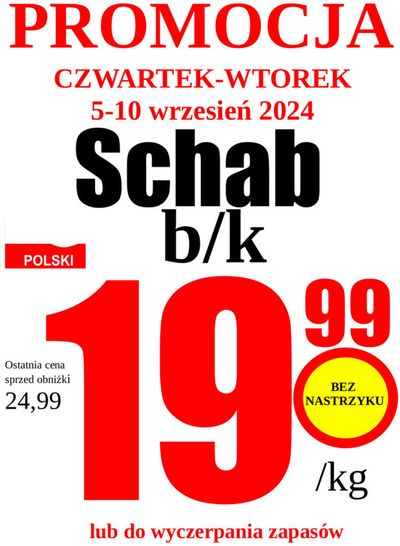 Katalog Wizan w: Zator | Świetna oferta dla łowców okazji | 12.09.2024 - 26.09.2024