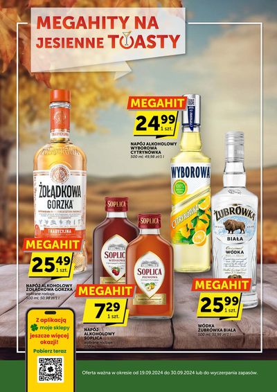 Promocje Supermarkety w BUCZ | Ekskluzywne oferty i okazje de Groszek | 19.09.2024 - 3.10.2024