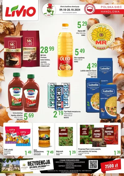 Katalog Livio | Najlepsze oferty dla oszczędnych | 10.10.2024 - 24.10.2024