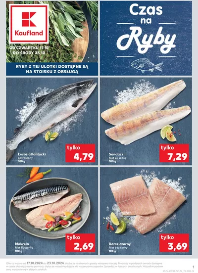 Katalog Kaufland w: Brodnica | Nowe oferty do odkrycia | 17.10.2024 - 23.10.2024