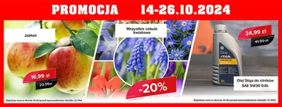 Promocje Budownictwo i ogród w Pszczółki | Promocja - 20 % do 26.10  de Szarotka | 18.10.2024 - 26.10.2024