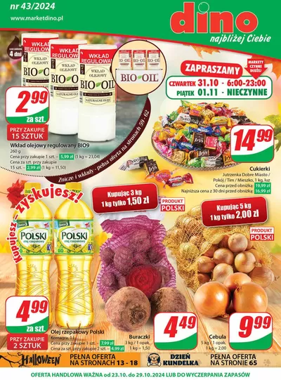 Katalog Dino w: Legnica | Dino Gazetka 43 / 2024 | 23.10.2024 - 29.10.2024