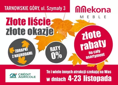 Promocje Dom i meble w Lubliniec | Złote liście złote okazje de Mekona Meble | 6.11.2024 - 24.11.2024