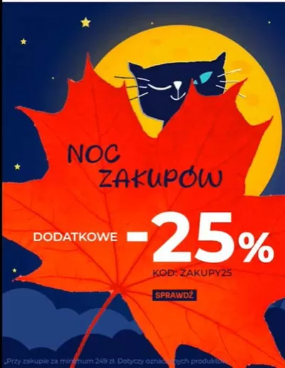 Promocje Supermarkety w Ochotnica Dolna | Skorzystaj z super okazji - 25%  de Endo | 6.11.2024 - 20.11.2024