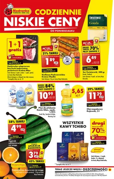 Katalog Biedronka w: Zakroczym | Świetna oferta dla łowców okazji | 7.11.2024 - 21.11.2024