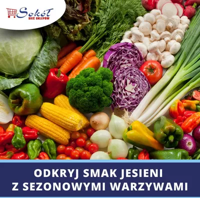 Katalog Sokół w: Cedry Małe | Świetna oferta dla łowców okazji | 8.11.2024 - 22.11.2024