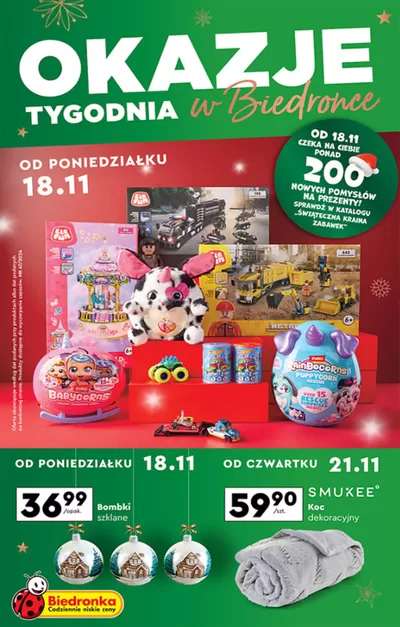 Katalog Biedronka | Aktualne promocje specjalne | 16.11.2024 - 30.11.2024