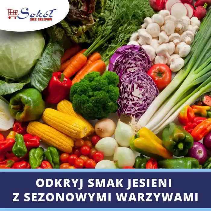 Katalog Sokół w: Cedry Małe | Nasze najlepsze oferty dla Ciebie | 21.11.2024 - 5.12.2024