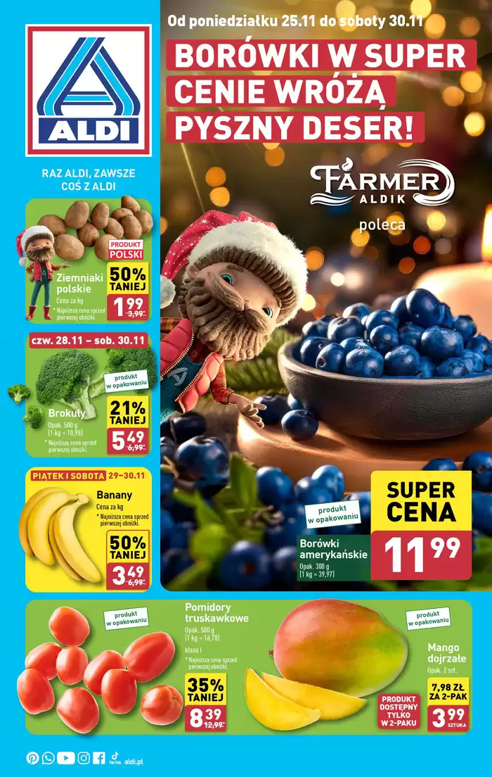 Katalog Aldi w: Starachowice | Świetna oferta dla łowców okazji | 24.11.2024 - 8.12.2024