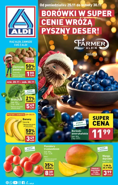 Katalog Aldi w: Kłodzko | Świetna oferta dla łowców okazji | 24.11.2024 - 8.12.2024