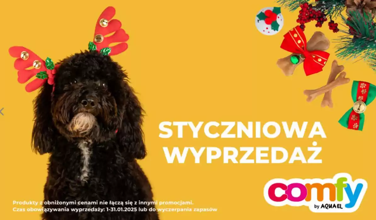 Katalog Aqua el ZOO w: Bytom | Styczniowe Wyprzedaż | 7.01.2025 - 31.01.2025