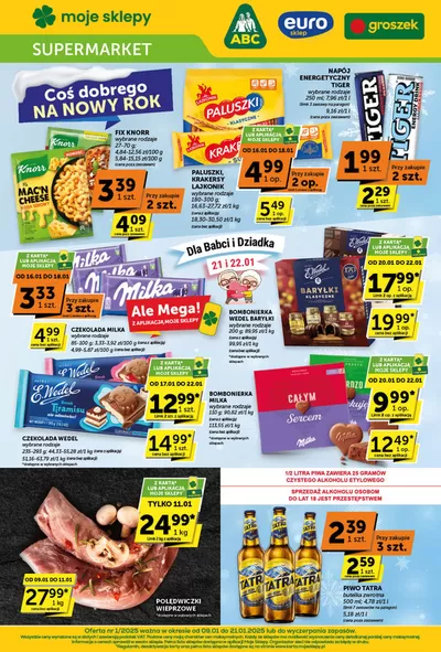 Katalog Euro Sklep w: Bytom | Gazetka Supermarket | 9.01.2025 - 21.01.2025