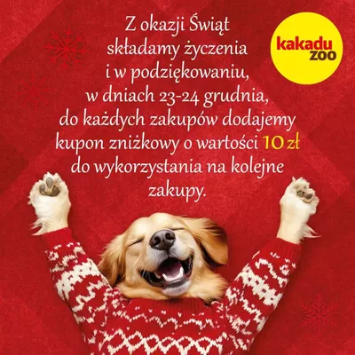 Katalog Kakadu w: Ruda Śląska | Szeroki wybór ofert | 13.01.2025 - 20.01.2025