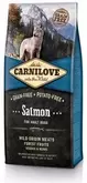 Carnilove Adult Dog Salmon 12kg za 28299,1 zł w Zoo Karina