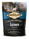 Carnilove Adult Dog Salmon 1,5kg za 5099,1 zł w Zoo Karina