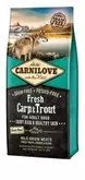 Carnilove Adult Dog Fresh Carp & Trout 12kg za 34599,1 zł w Zoo Karina