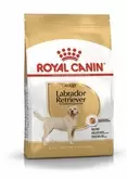 Royal Canin Labrador Retriver Adult 12kg za 31599,1 zł w Zoo Karina