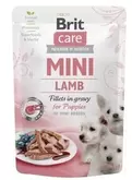 Brit Care Mini Pouch Puppy jagnięcina dla szczeniąt 85g za 599,1 zł w Zoo Karina