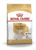 Royal Canin West Highland White Terrier Adult 3kg za 10399,1 zł w Zoo Karina