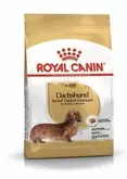 Royal Canin Dachshund Adult 1,5kg za 5999,1 zł w Zoo Karina