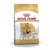 Royal Canin Pug Adult 1,5kg za 8099,1 zł w Zoo Karina