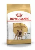 Royal Canin French Bulldog Adult 3kg za 9899,1 zł w Zoo Karina