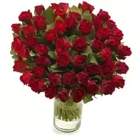 Bukiet 50 Róż Czerwonych za 659 zł w EuroFlorist