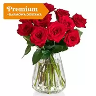 10 Róż Czerwonych za 209 zł w EuroFlorist
