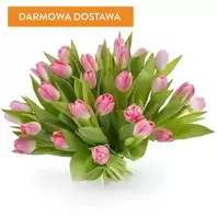 25 Tulipanów Różowych za 169 zł w EuroFlorist