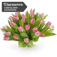 25 Tulipanów Różowych za 169 zł w EuroFlorist