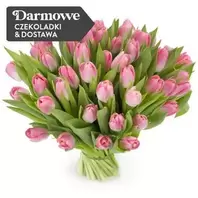 50 Tulipanów Różowych za 229 zł w EuroFlorist