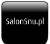 Logo Salon Snu