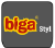Logo Biga Styl