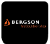 Logo Bergson